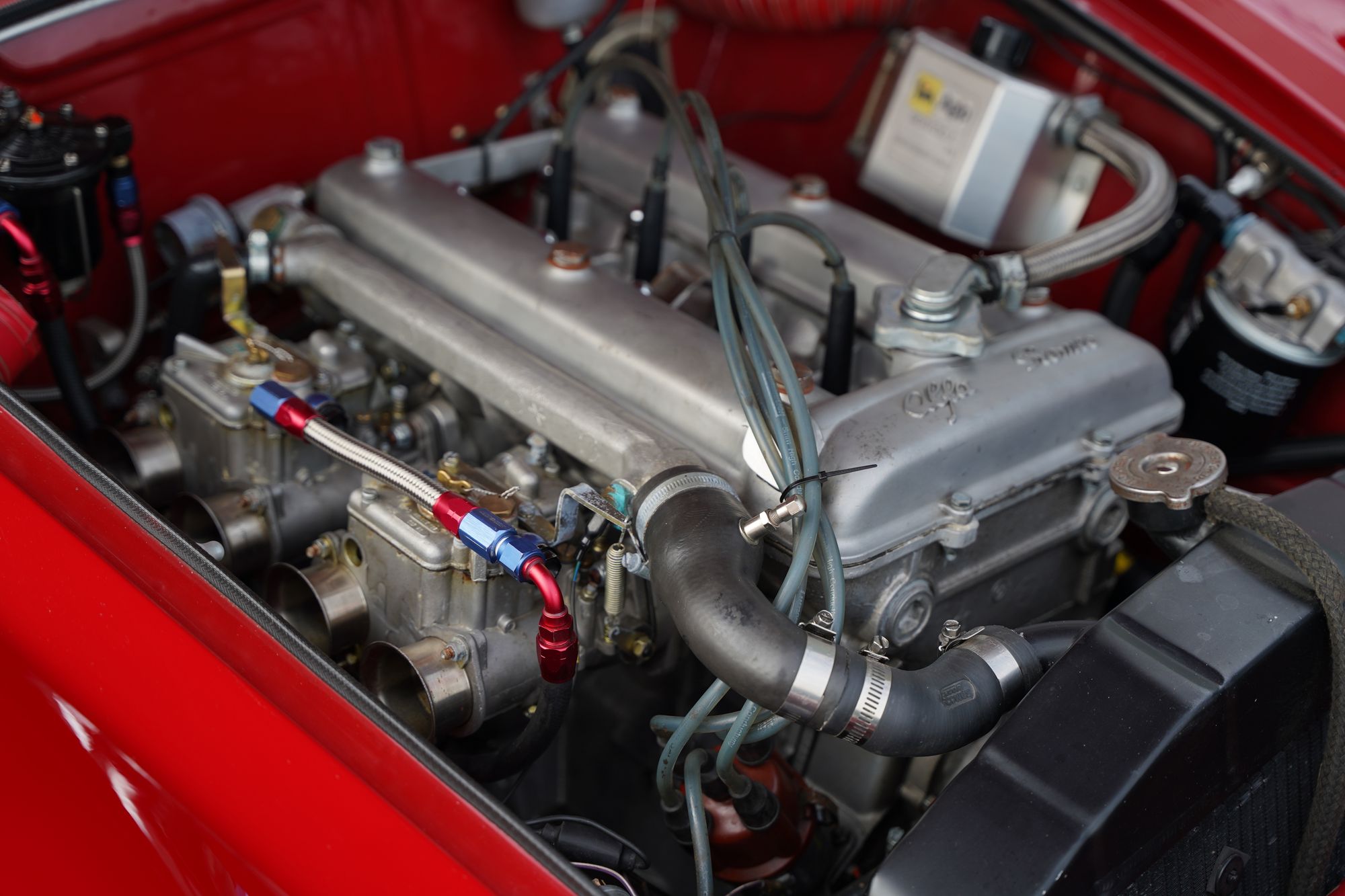 1965 Alfa Romeo Giulia 101 Spider Veloce