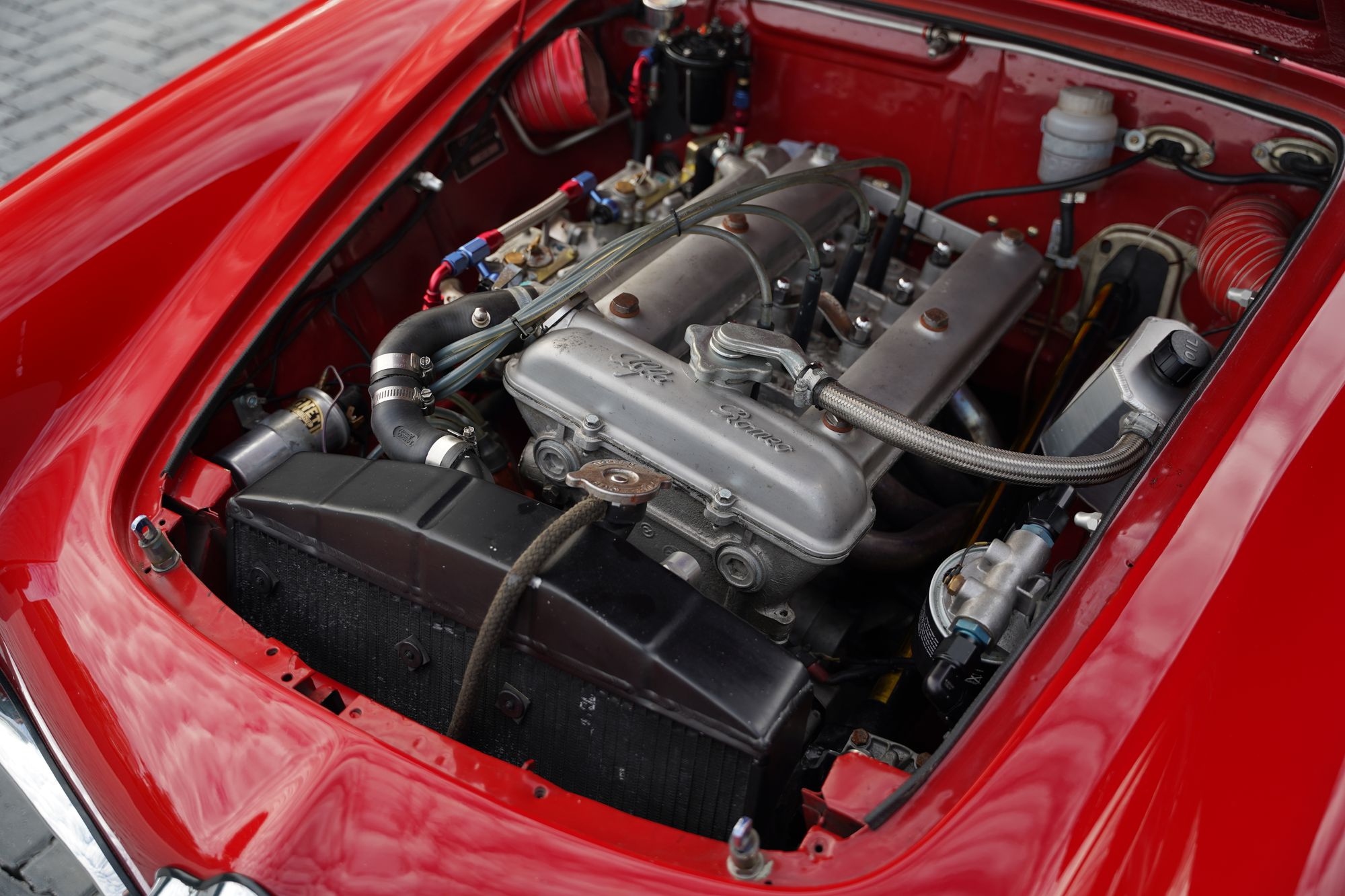 1965 Alfa Romeo Giulia 101 Spider Veloce