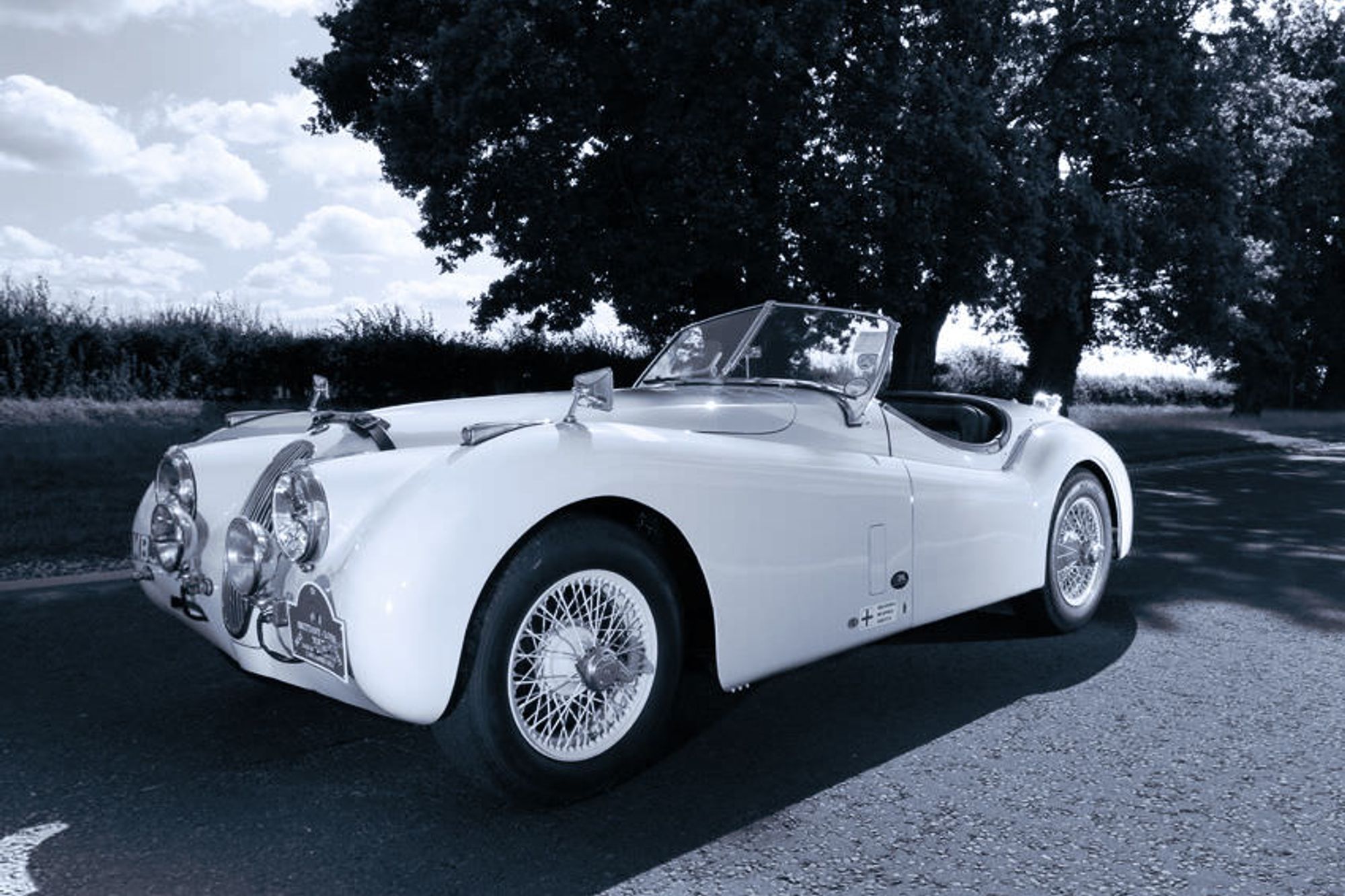 Jaguar XK120 Roadster