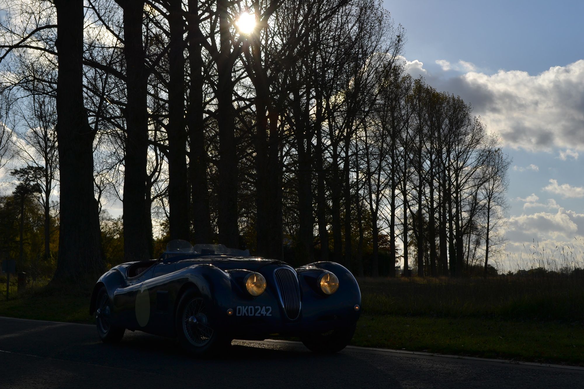 Jaguar XK120 Special Roadster